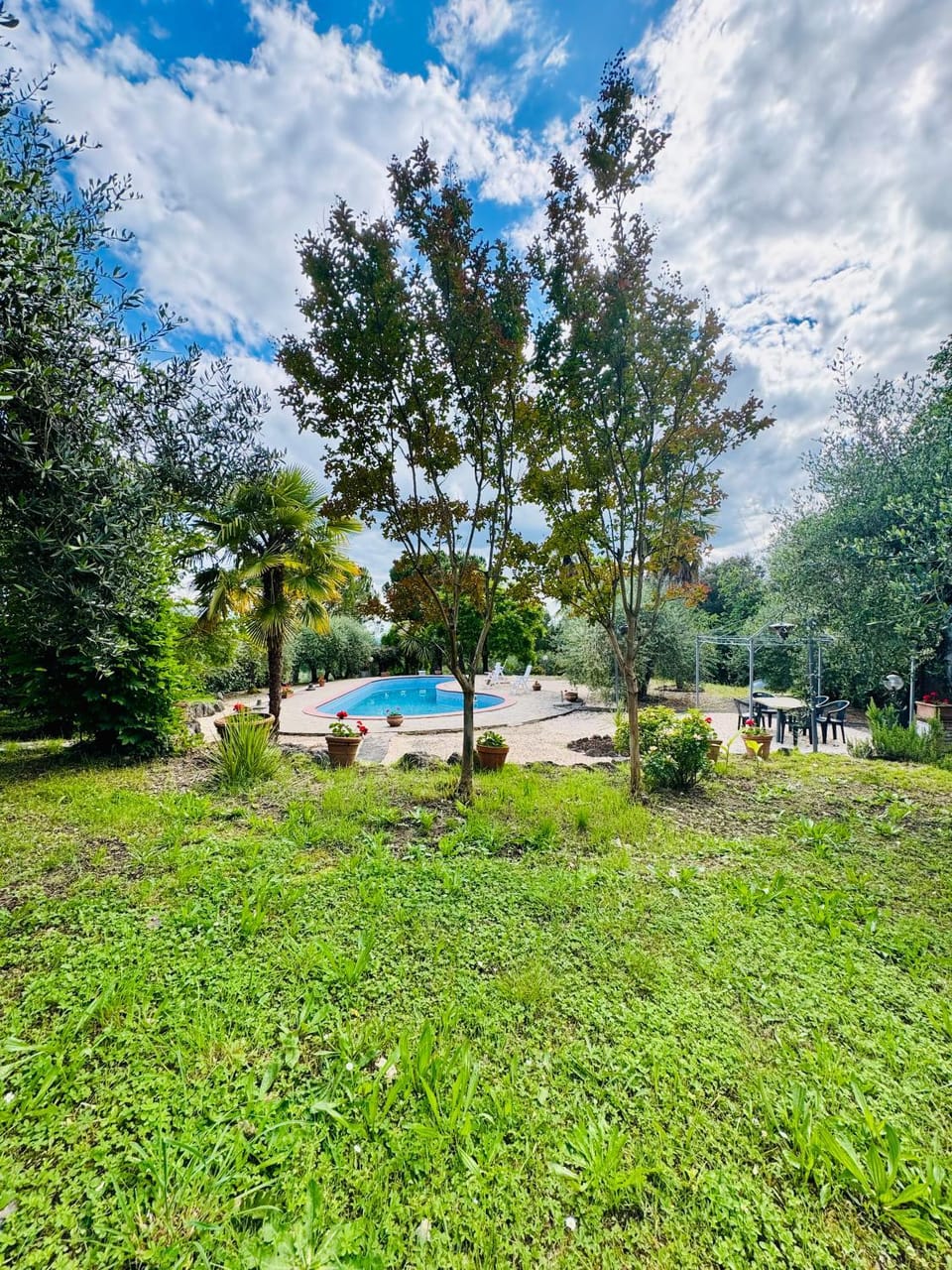 Garden