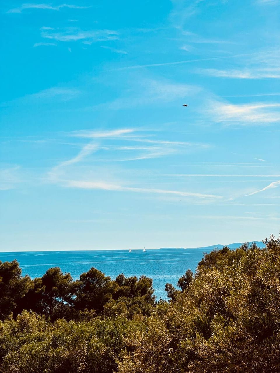 Mansion Hvar Bed and Breakfast in Hvar