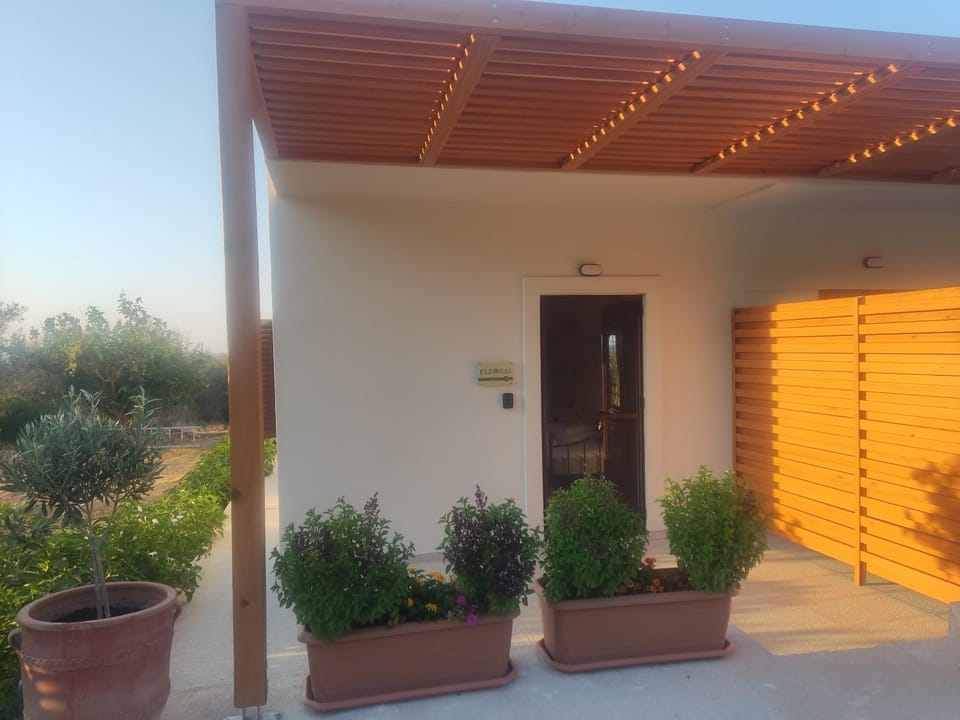 Eleonas Aparments 1 House in Lasithi