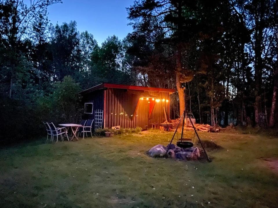 Night, Garden, Garden view