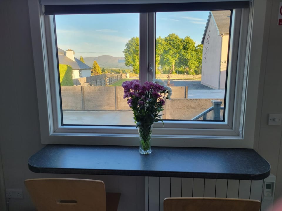 Dining area, Mountain view