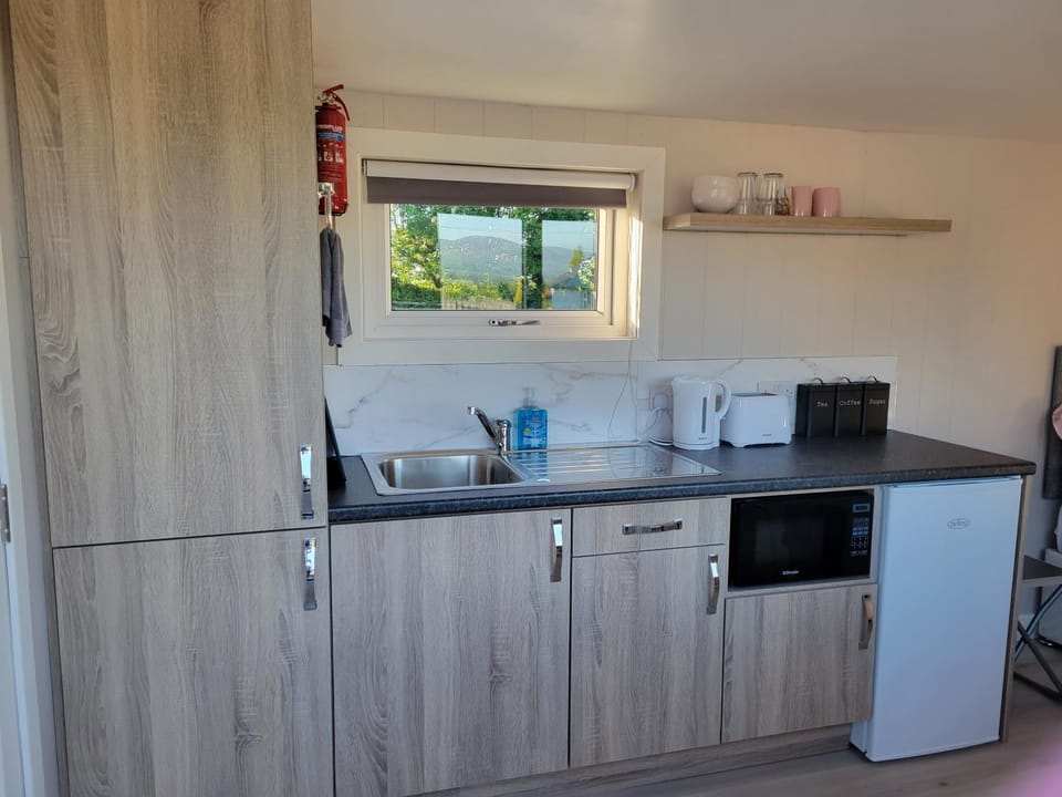 Coffee/tea facilities, Kitchen or kitchenette, toaster