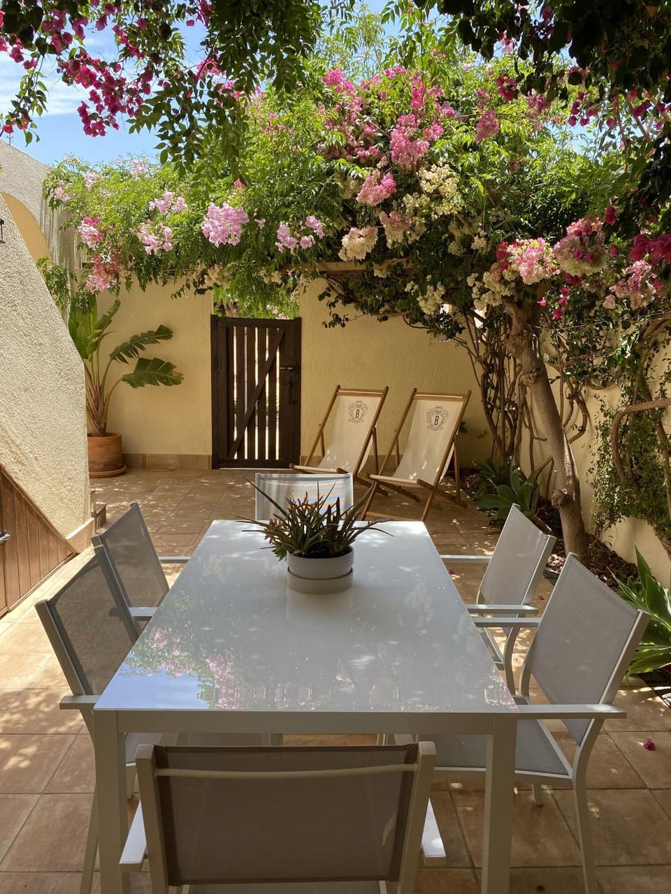 Patio, Garden, Garden