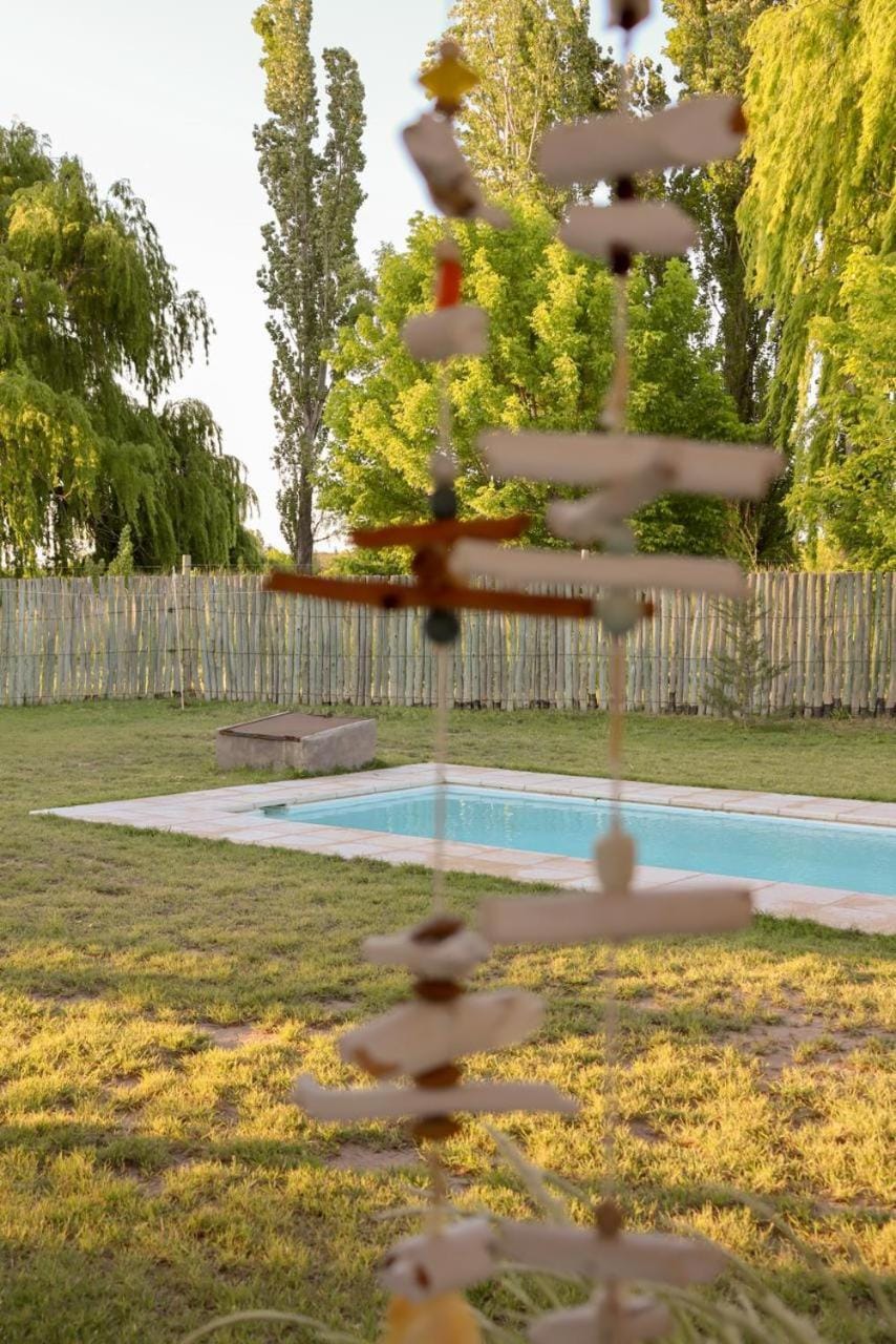 Spring, Natural landscape, Summer, Garden, Garden view, Pool view, Swimming pool
