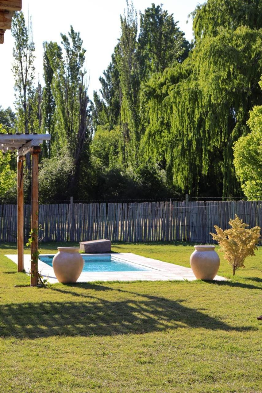 Natural landscape, Garden, Garden view, Pool view, Swimming pool