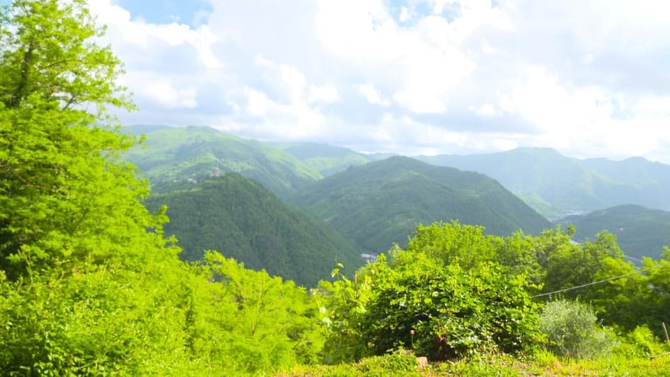 Mountain view