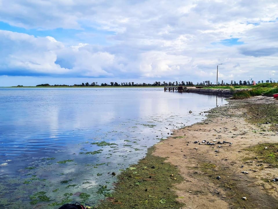 Lake view