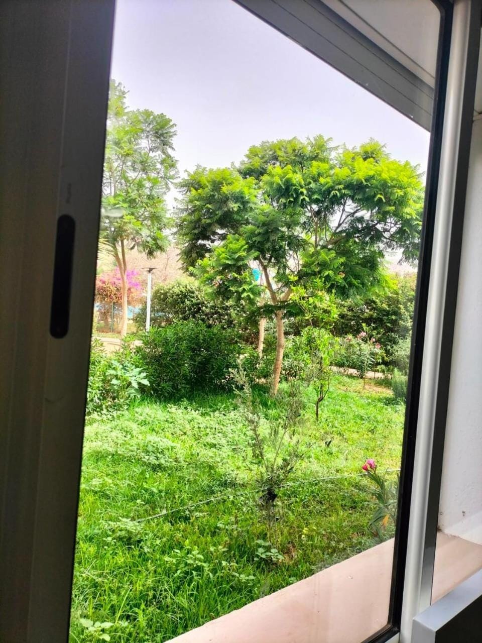 Natural landscape, Garden view