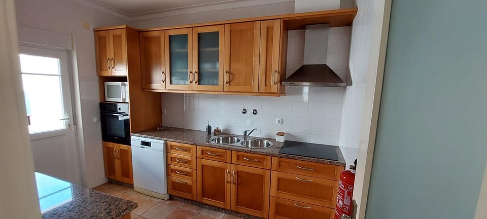 Kitchen or kitchenette, dishwasher, stove
