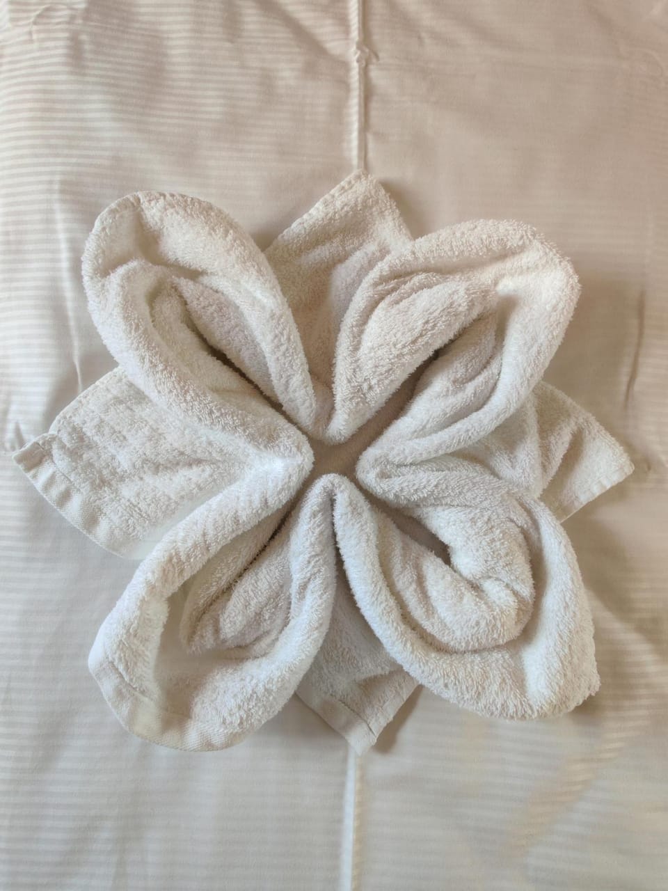 towels