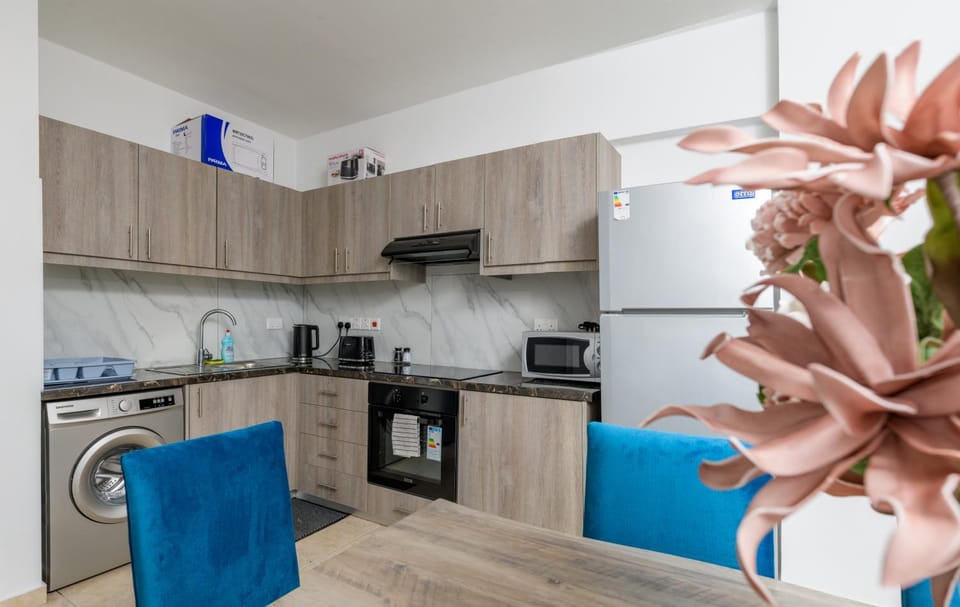 Kitchen or kitchenette, oven, stove, toaster, washing machine
