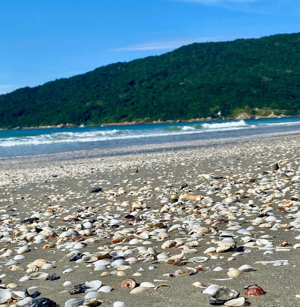 Residencial à beira-mar na Praia dos Ingleses House in Florianopolis