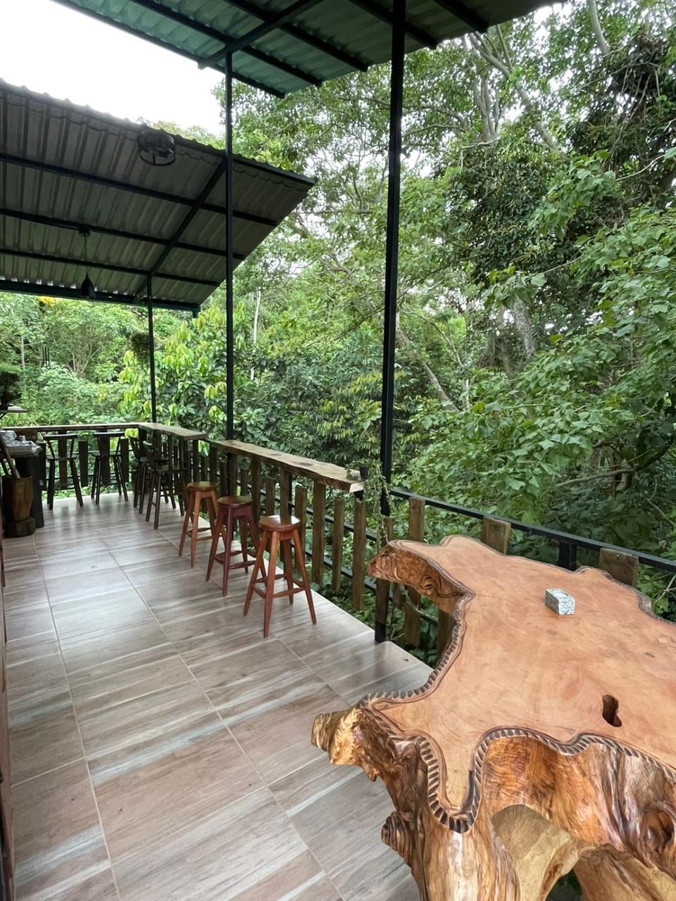 View (from property/room), Balcony/Terrace, minibar