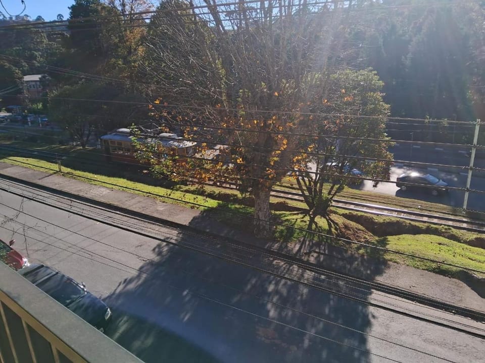 Spring, Day, Neighbourhood, Natural landscape, Street view