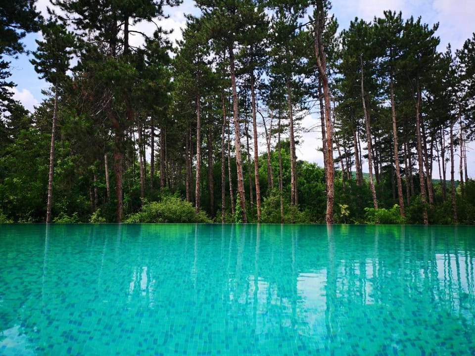 Natural landscape