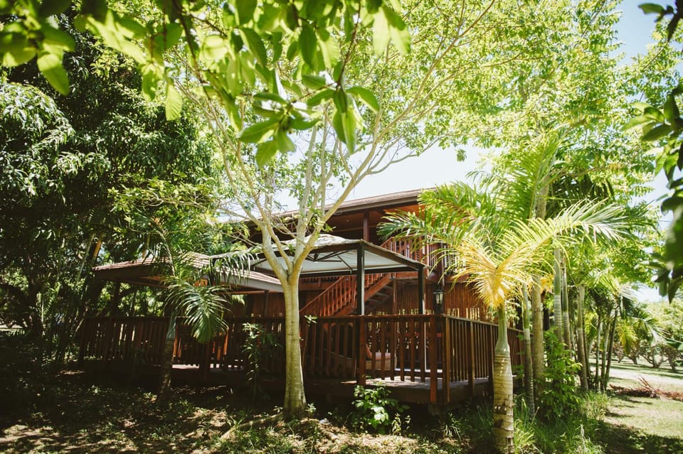 Property building, Garden, Garden view