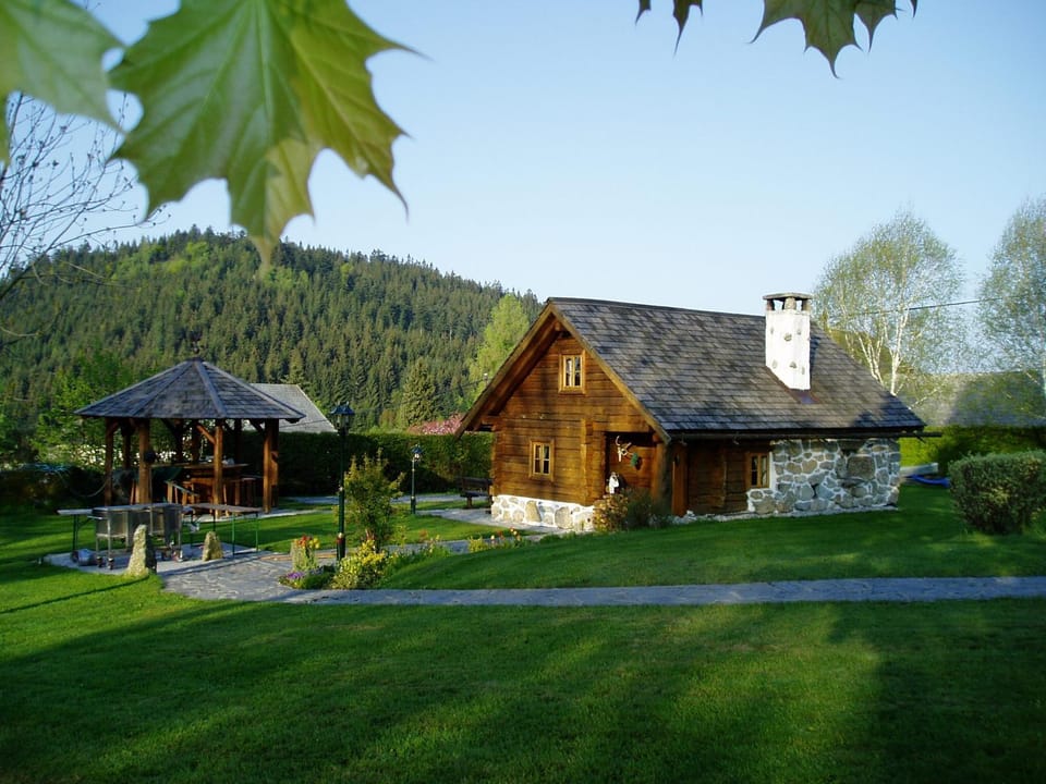 Day, Garden, Garden, Garden view