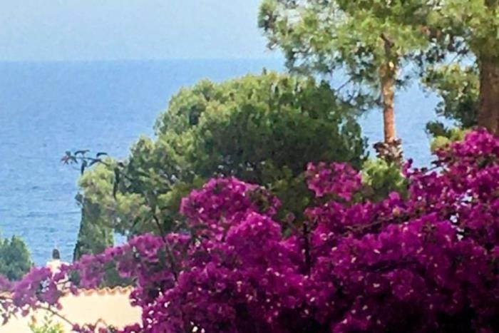 Sea view