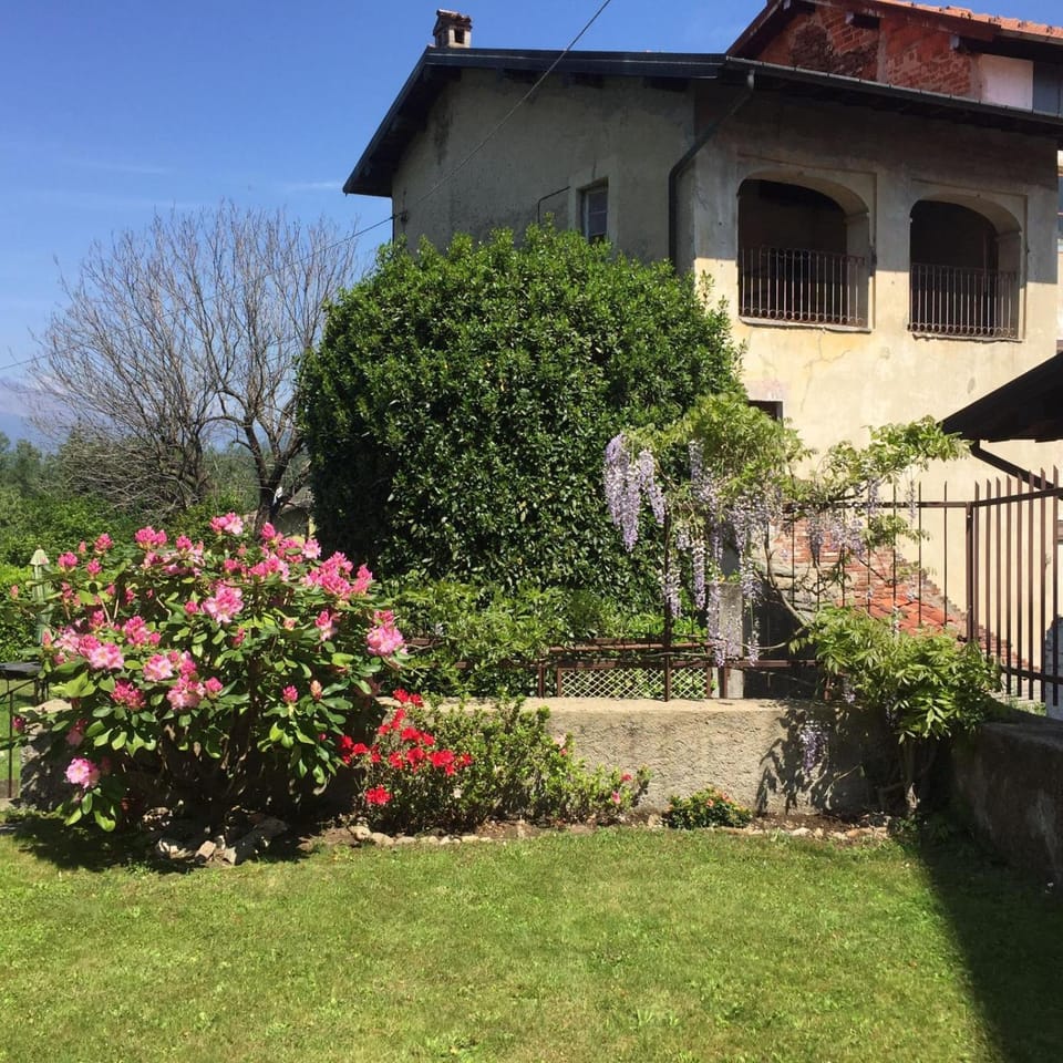 Garden, Garden, Garden view