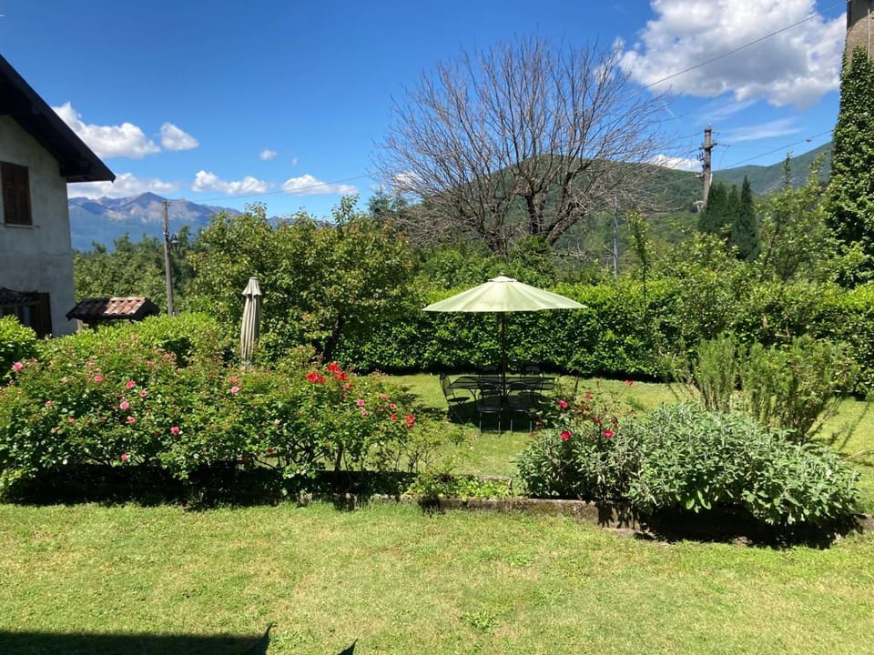 Garden, Garden, Garden view, Mountain view