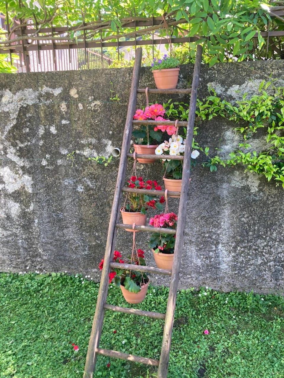 Garden, Garden
