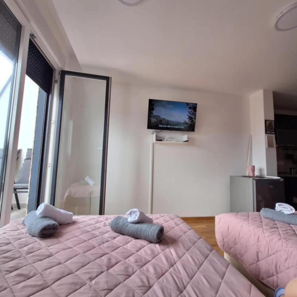 Studio apartman Delight Vrnjačka banja Apartment in Serbia
