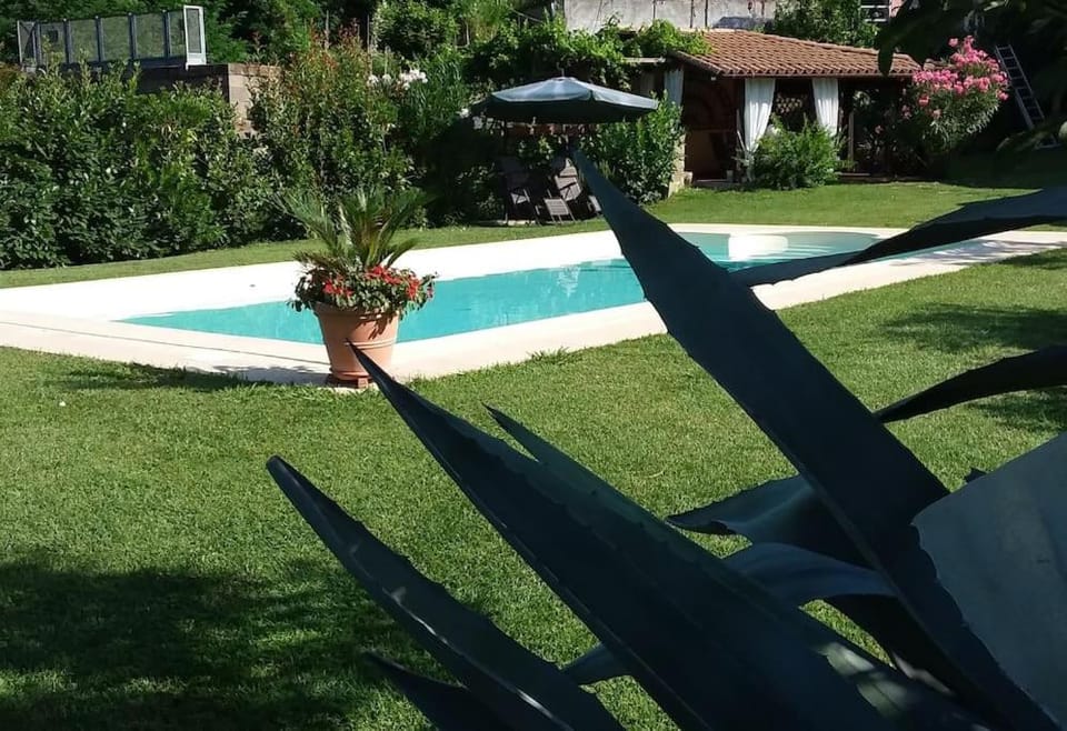 Gli Ulivi House in Province of Massa and Carrara