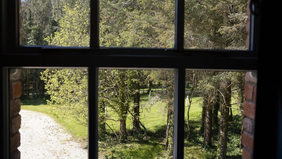 Spring, Day, Natural landscape, Garden, Garden view