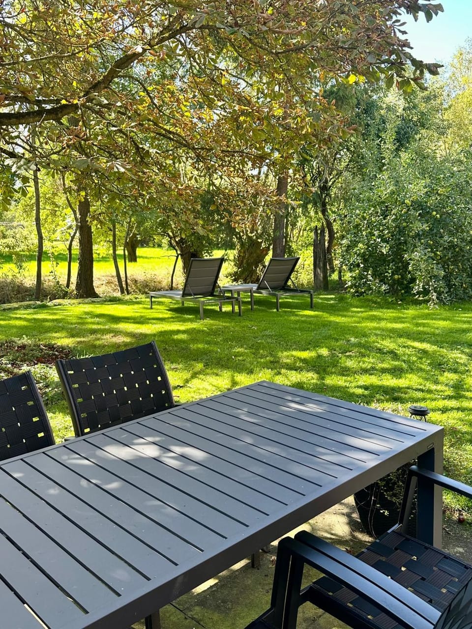 Garden, Garden