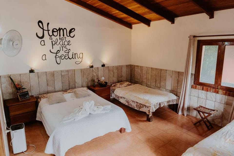 Bed, Photo of the whole room