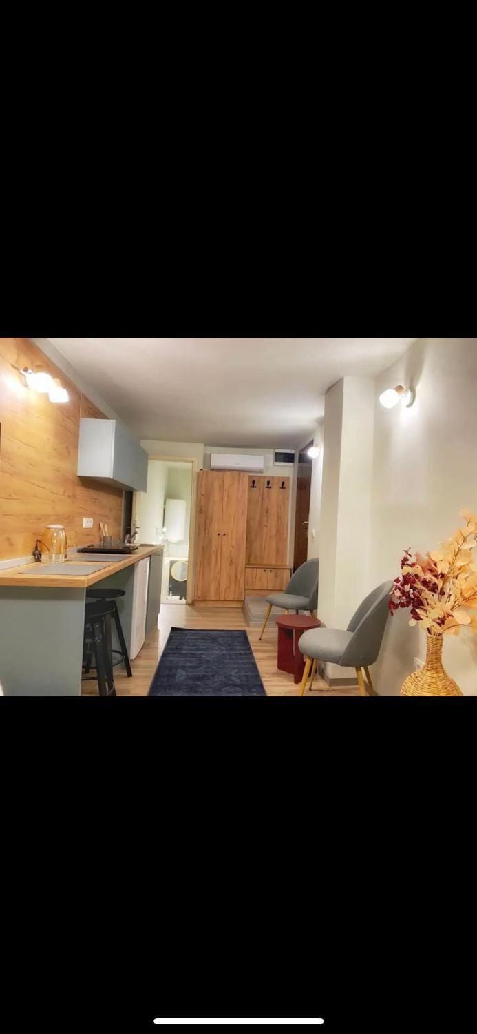 Lovely one bedroom apartment Apartment in Belgrade