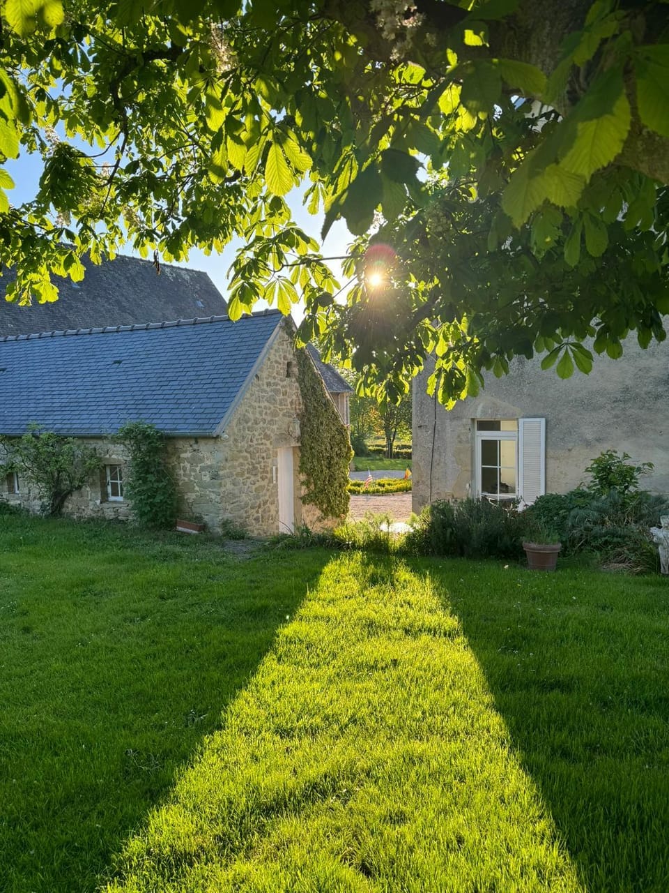 Property building, Garden view