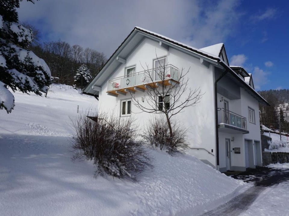 Property building, Winter