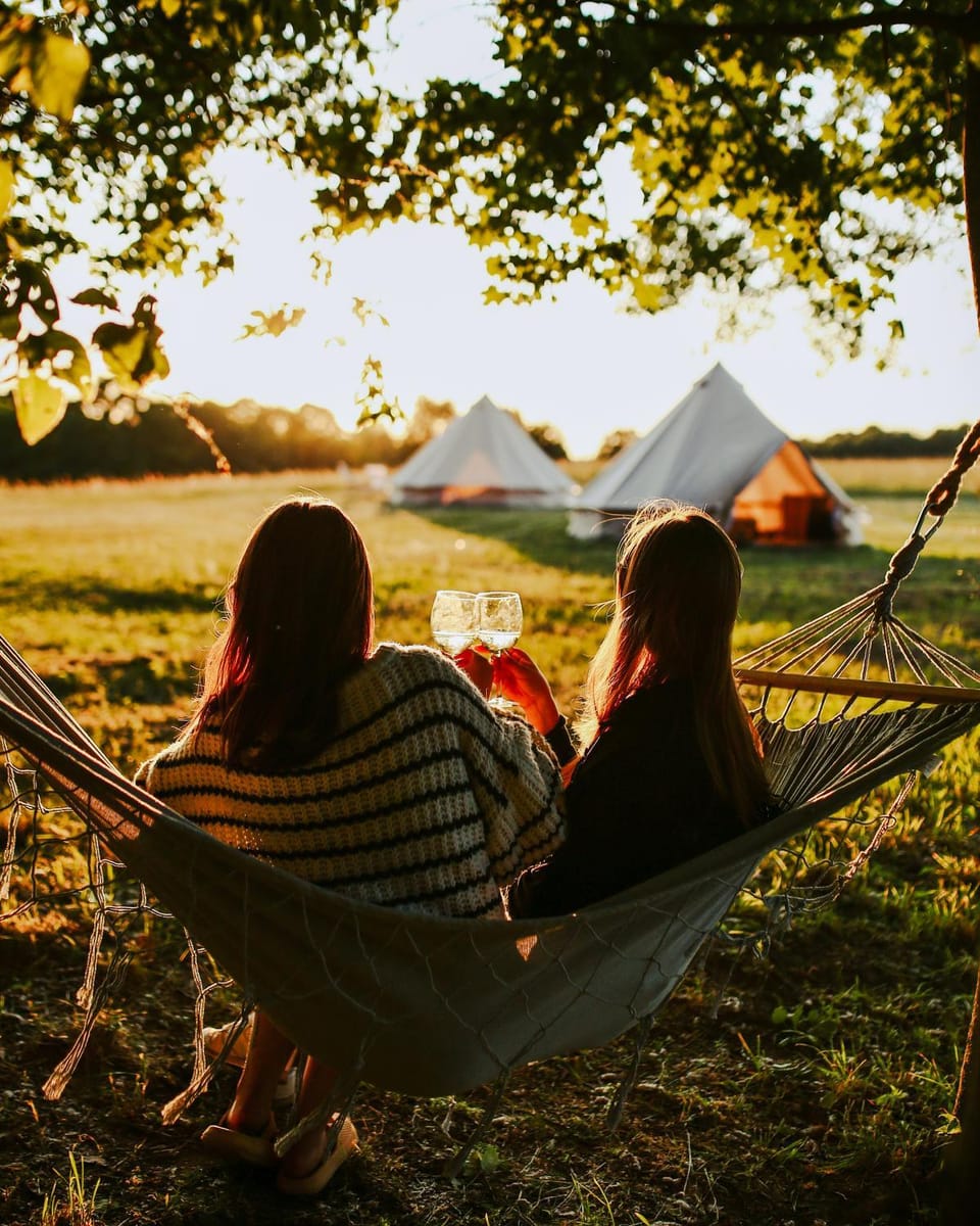People, Natural landscape, Guests, Garden view, group of guests