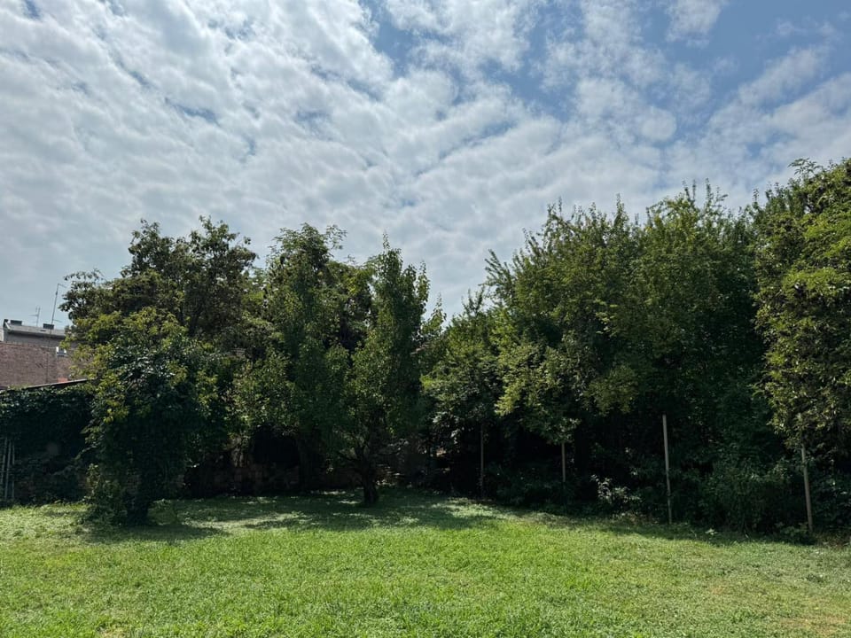 Garden, Garden view
