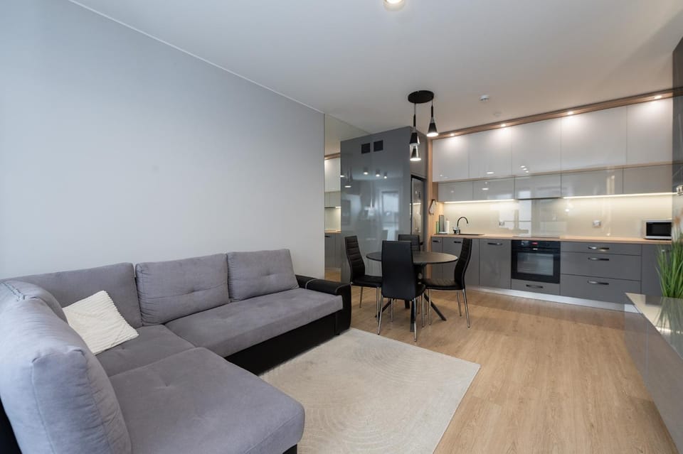 Kitchen or kitchenette, Living room, Seating area, Dining area, dishwasher, stove