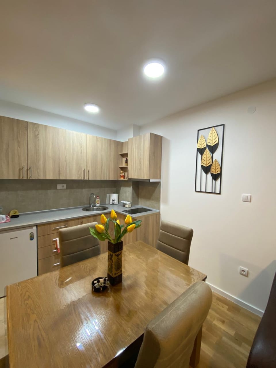 Rtanj Apartment in Serbia