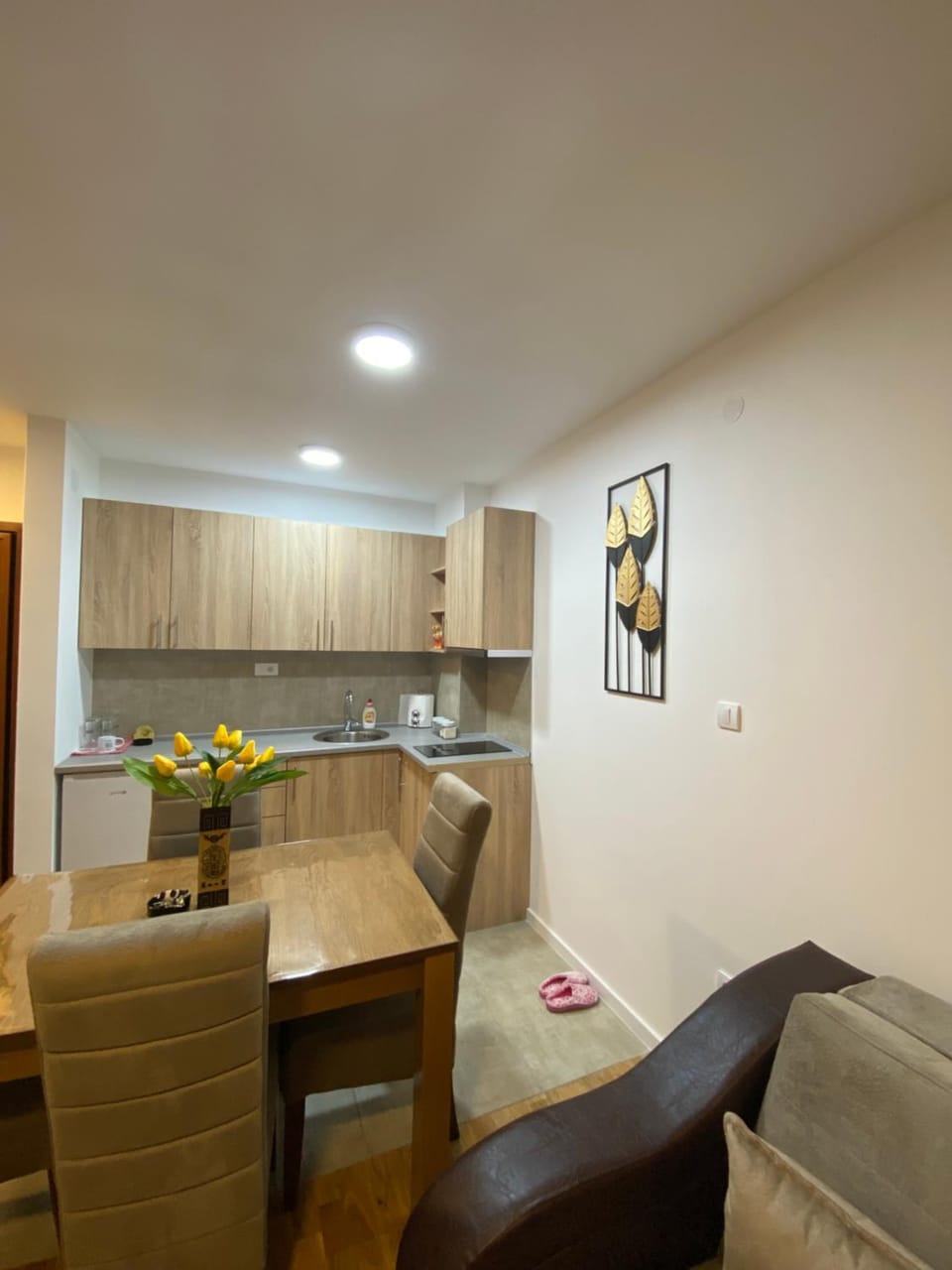 Rtanj Apartment in Serbia