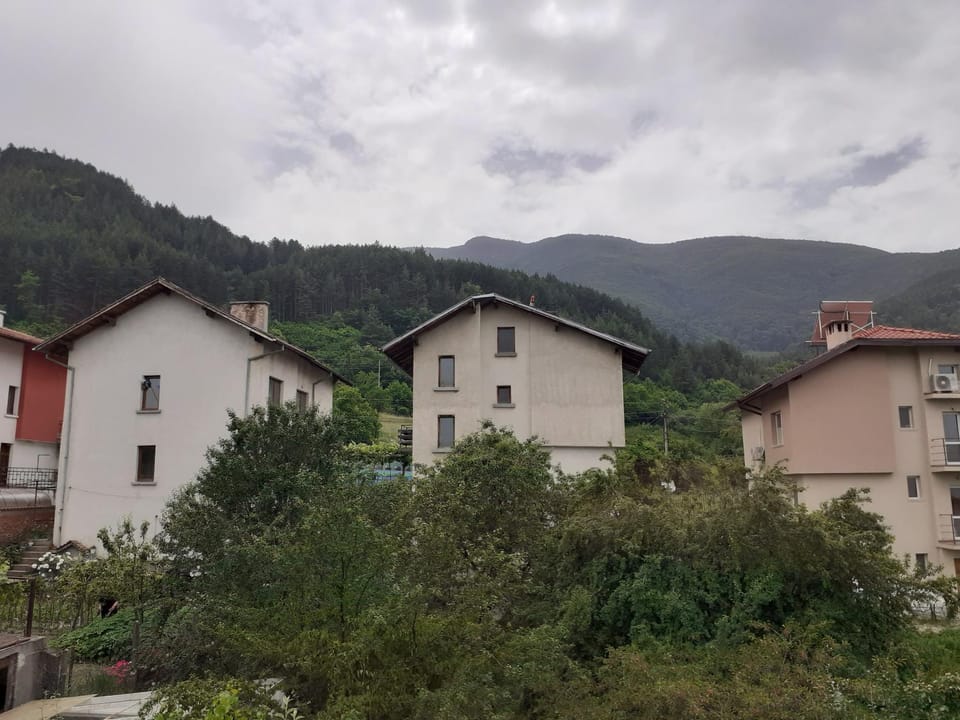 View (from property/room)