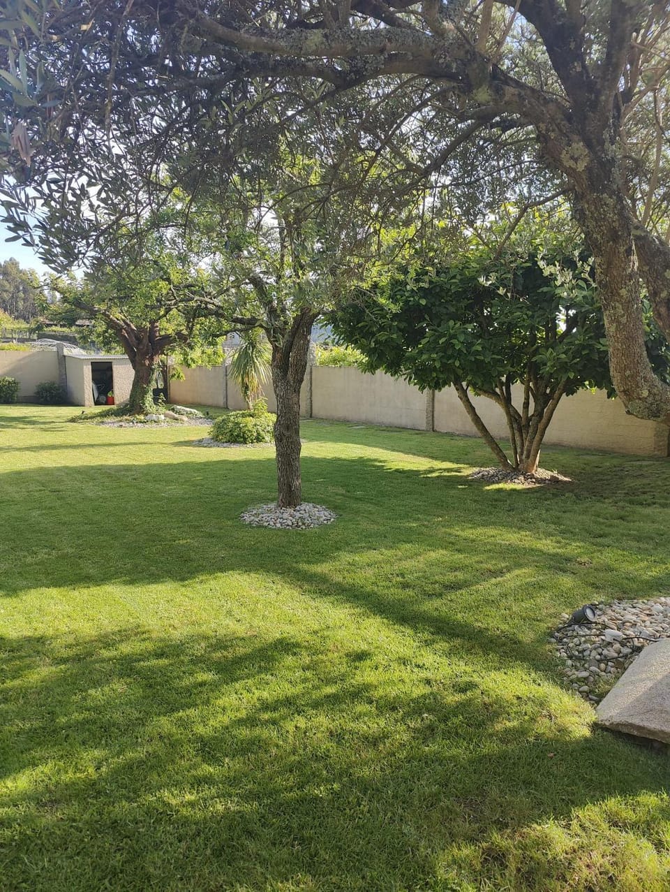 Natural landscape, Garden