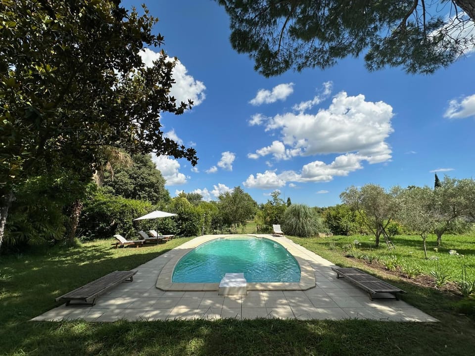 Garden, Garden view, Pool view, Swimming pool