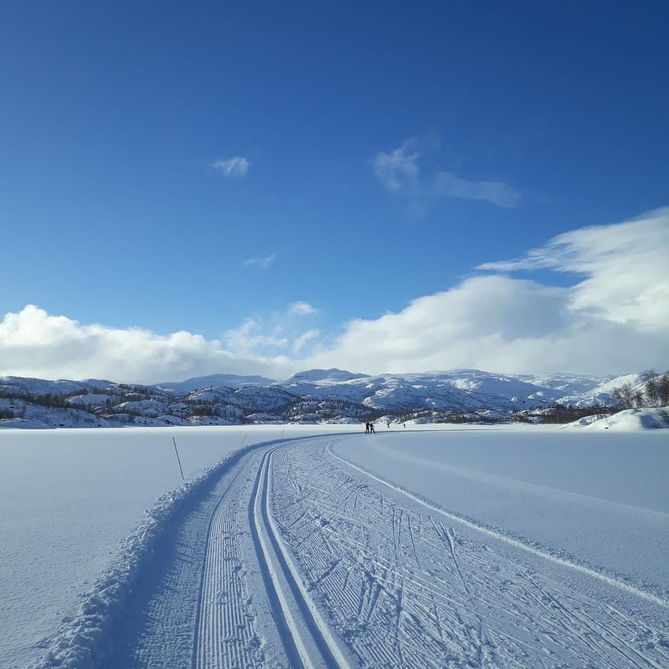 Skiing