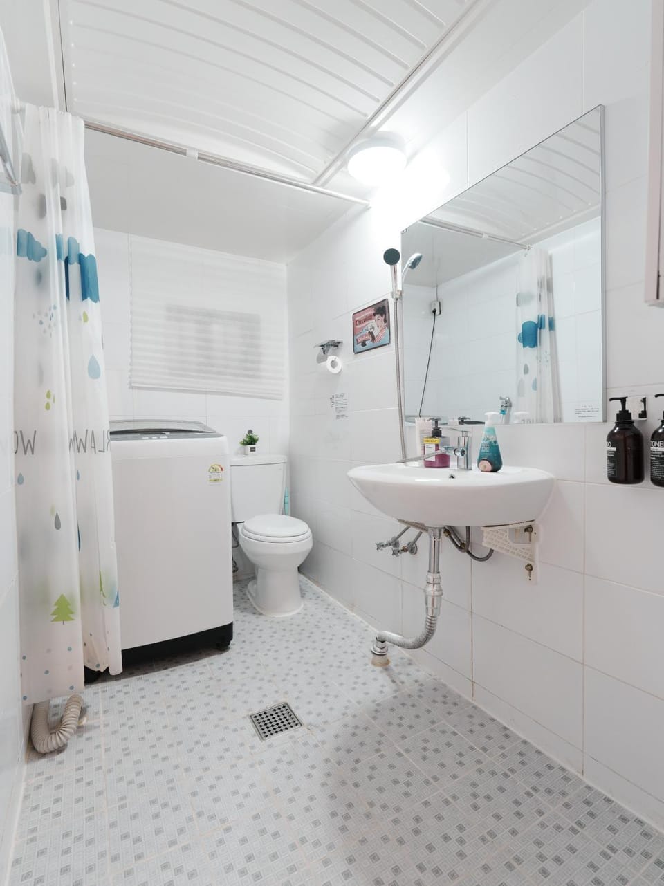 Toilet, washing machine