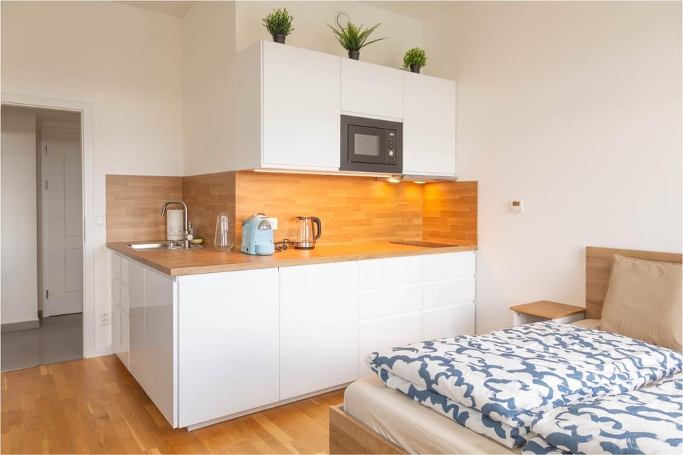 National Museum View Studio Apartment in Prague