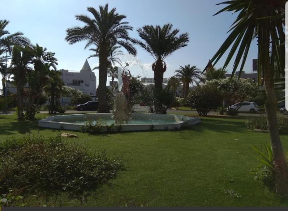Garden view