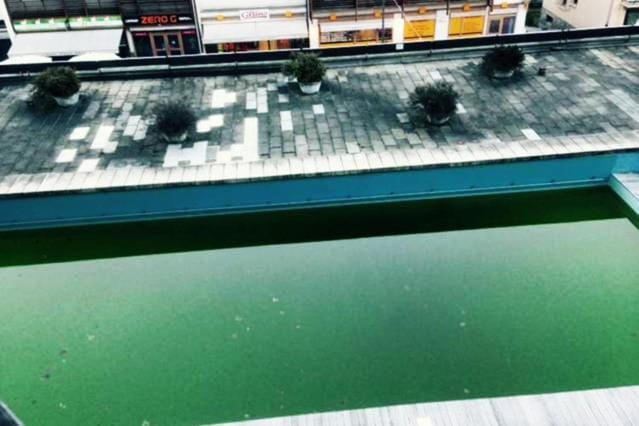 Swimming pool