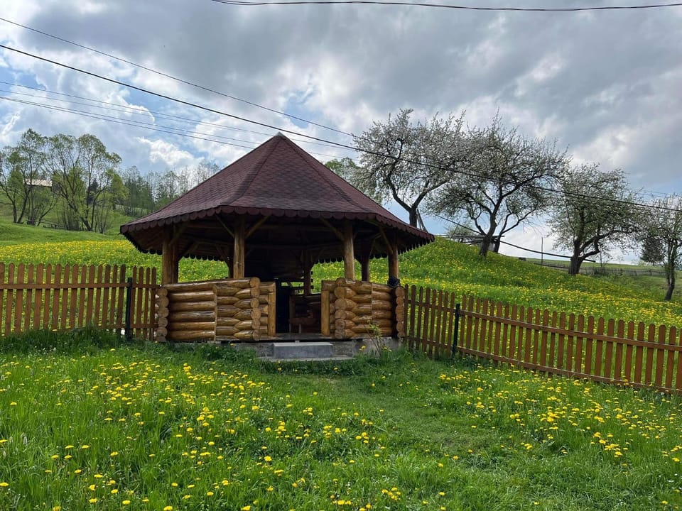 Spring, Natural landscape, Garden, Garden view