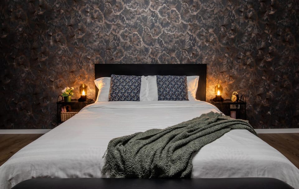 Old Town by Humpback Apartment in Craiova