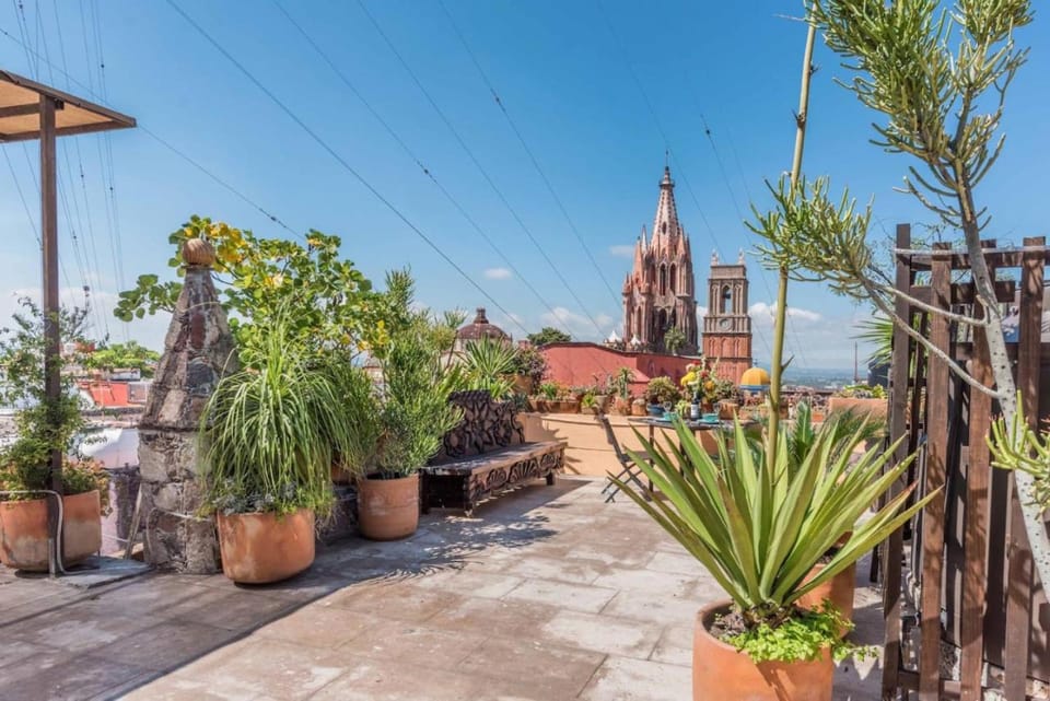 Day, Garden view