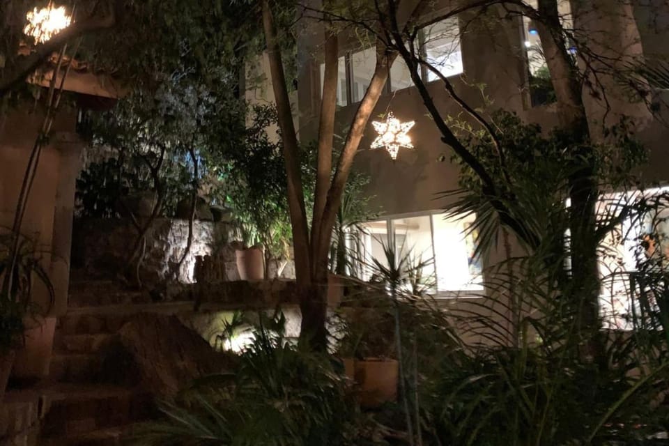 Night, Garden view